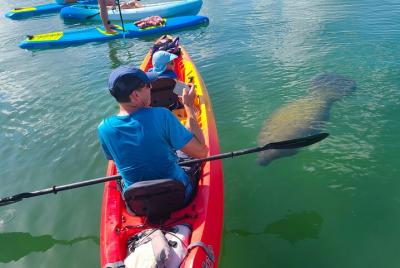 Kayak Tour through Mangrove Tunnels Kayak Tour through Mangrove Tunnels