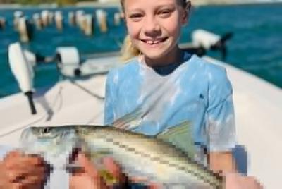 4-Hour Private Inshore Fishing Trip in Sarasota 4-Hour Private Inshore Fishing Trip in Sarasota