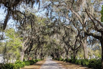 Private Tour of Savannah Private Tour of Savannah's Historic District, Isle of Hope & Bonaventure