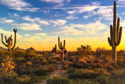 2-Hour Arizona Desert Guided E-Bike Tour 2-Hour Arizona Desert Guided E-Bike Tour