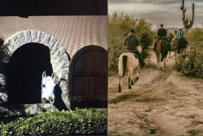 Scottsdale Horseback Riding and Horse Country Estate Tour Scottsdale Horseback Riding and Horse Country Estate Tour