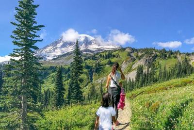 Mt. Rainier National Park Small Group Tour from Seattle with Gourmet Lunch