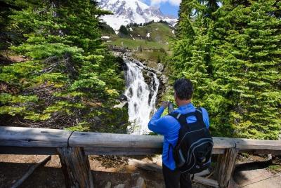 Best of Mount Rainier National Park from Seattle: All-Inclusive Small-Group Tour