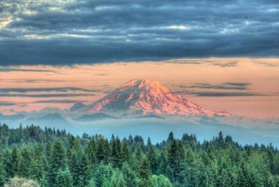 Hike Mt. Rainier & Taste Yakima Valley Wine: All-Inclusive Day Tour from Seattle