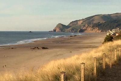 Private Pacific Ocean Beach Experience