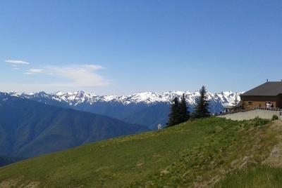 Hurricane Ridge Olympic National Park from Seattle