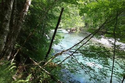 Mt. Rainier Private Tour Experience in SUV