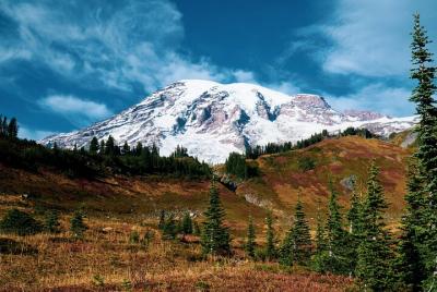 Mount Rainier National Park Day Trip and Private Tour 
