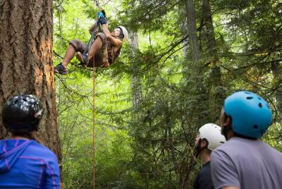 3 Day Canopy Tree Climbing Academy