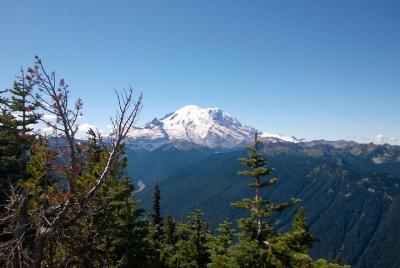 Mt Rainier Seaplane Tour Departing from Lake Washington