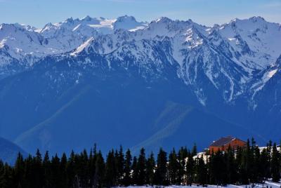 Olympic Mountains Seaplane Tour from Lake Washington
