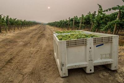 Walla Walla in Woodinville