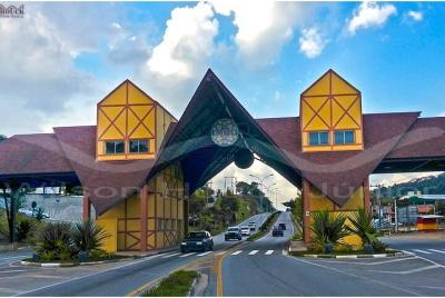 Come to the Wine Route in São Roque by car - tour with local guid Come to the Wine Route in São Roque by car - tour with local guid