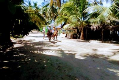 Lonely Beach & Countryside Horseback Riding Baby Turtle Release &