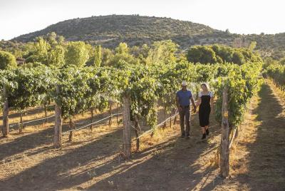 Bliss Wine Tours - The Most Luxurious Vineyard Tour in Sedona Bliss Wine Tours - The Most Luxurious Vineyard Tour in Sedona