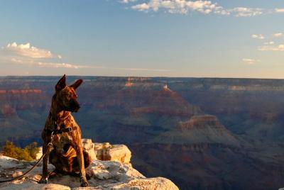 Full-Day Small-Group Grand Canyon Hiking Tour Full-Day Small-Group Grand Canyon Hiking Tour