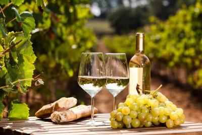 Northern Arizona Private Wine Tour south of Sedona - Verde Valley Wineries Northern Arizona Private Wine Tour south of Sedona - Verde Valley Wineries