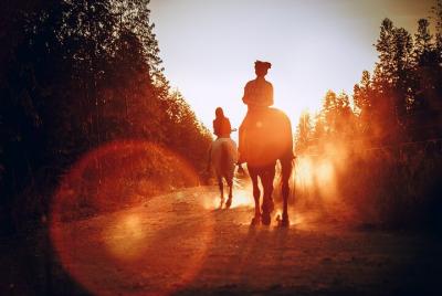 1-Hour Horseback Ride in Camp Verde 1-Hour Horseback Ride in Camp Verde
