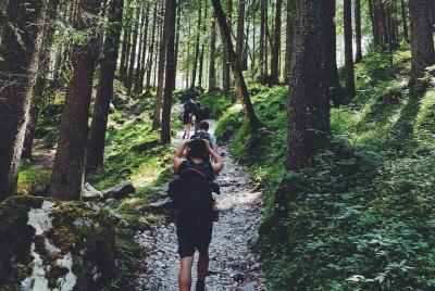 Private Guided Hiking Tours - Sequoia and Kings Canyon National Parks