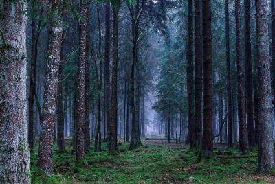 The Witch Tour: Appalachian Mountains Ghost Tour