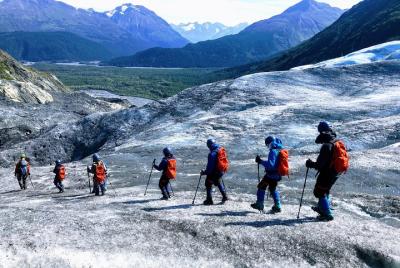 Exit Glacier Ice Hiking Adventure from Seward Exit Glacier Ice Hiking Adventure from Seward