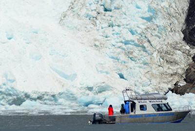 Full-Day Small Group Glacier and Wildlife Cruise to Kenai Fjords National Park Full-Day Small Group Glacier and Wildlife Cruise to Kenai Fjords National Park