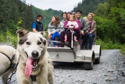 Wilderness Dog Sled Ride and Tour in Seward Wilderness Dog Sled Ride and Tour in Seward