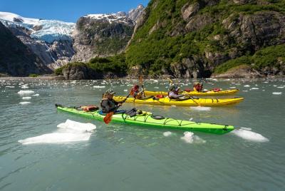 Kenai Fjords (Grand Day) Wildlife Cruise & Glacier Kayak Combo Kenai Fjords (Grand Day) Wildlife Cruise & Glacier Kayak Combo