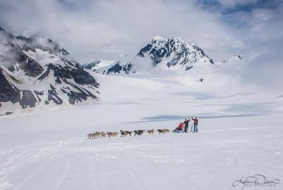 Helicopter and Glacier Dog Sledding Tour from Seward Helicopter and Glacier Dog Sledding Tour from Seward