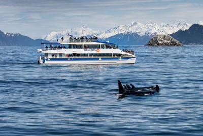 Kenai Fjords National Park Glacier & Wildlife Cruise from Seward Kenai Fjords National Park Glacier & Wildlife Cruise from Seward