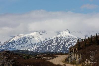 Skagway VIP: 3 hour Summit Adventure