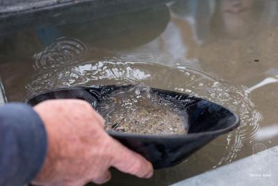 Gold Panning Adventure in Downtown Skagway Alaska