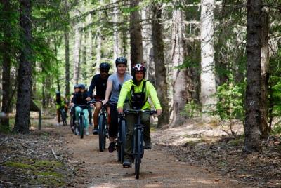 Rainforest Bicycle Tour