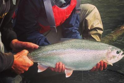Full day fishing trips Full day fishing trips