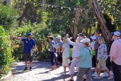 St. Petersburg Jungle Prada Site History Tour St. Petersburg Jungle Prada Site History Tour