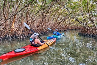 Small Group Kayak Tour of the Shell Key Preserve Small Group Kayak Tour of the Shell Key Preserve