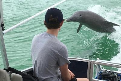 Shared 2 Hours Dolphin Watch Cruise with Snorkeling to Shell Key Shared 2 Hours Dolphin Watch Cruise with Snorkeling to Shell Key