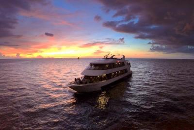 Evening Yacht Cruise with Optional Dining in St. Petersburg Evening Yacht Cruise with Optional Dining in St. Petersburg