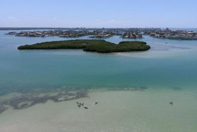4-Hour Glass Bottom Kayak Rental with Island and Mangrove Tunnel Adventure 4-Hour Glass Bottom Kayak Rental with Island and Mangrove Tunnel Adventure