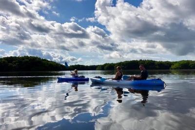 Saint Petersburg Mangrove Kayak Tour  Saint Petersburg Mangrove Kayak Tour