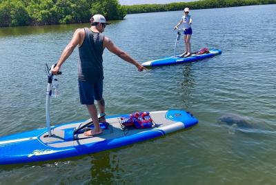 Tampa Bay Marine Life Stand Up Paddle Boarding Activity Tampa Bay Marine Life Stand Up Paddle Boarding Activity