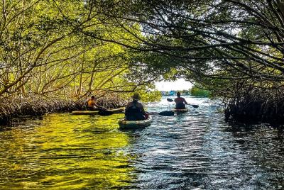 Half-Day Small-Group Weedon Island Kayaking Adventure Half-Day Small-Group Weedon Island Kayaking Adventure