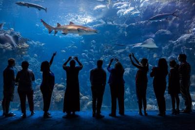 Skip the Line: The Florida Aquarium in Tampa Bay Ticket Skip the Line: The Florida Aquarium in Tampa Bay Ticket