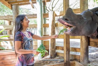 Tampa Tampa's ZooQuarium Admission