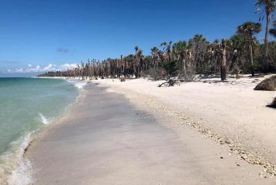 Egmont Key Private Full Day Excursion 