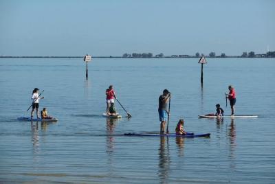 Paddle Board Rental around Harbour Island Paddle Board Rental around Harbour Island