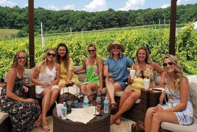 The Ultimate Wine Tasting Tour with Picnic Lunch The Ultimate Wine Tasting Tour with Picnic Lunch