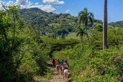 Puerto Plata: Mountain Half Day Horseback Riding Puerto Plata: Mountain Half Day Horseback Riding