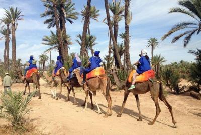 Camel Ride Marrakech in the Palm Groves