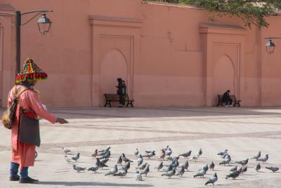Medina of Marrakech Walking Tour